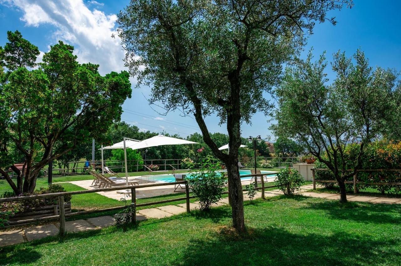 Montenovo Country House Ostra Vetere 외부 사진
