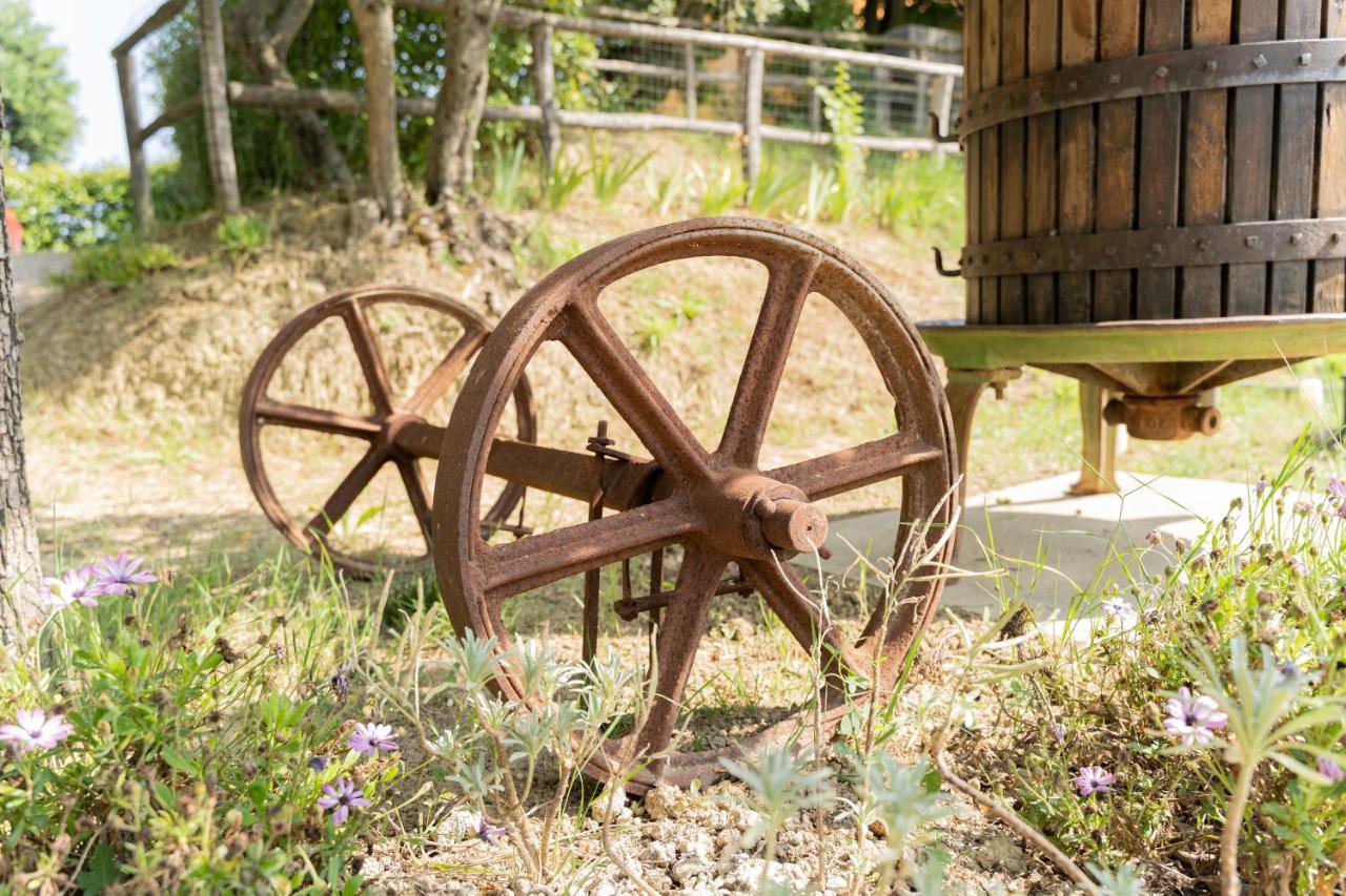 Montenovo Country House Ostra Vetere 외부 사진