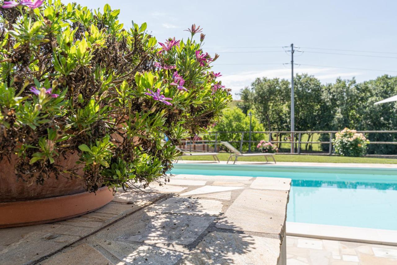 Montenovo Country House Ostra Vetere 외부 사진