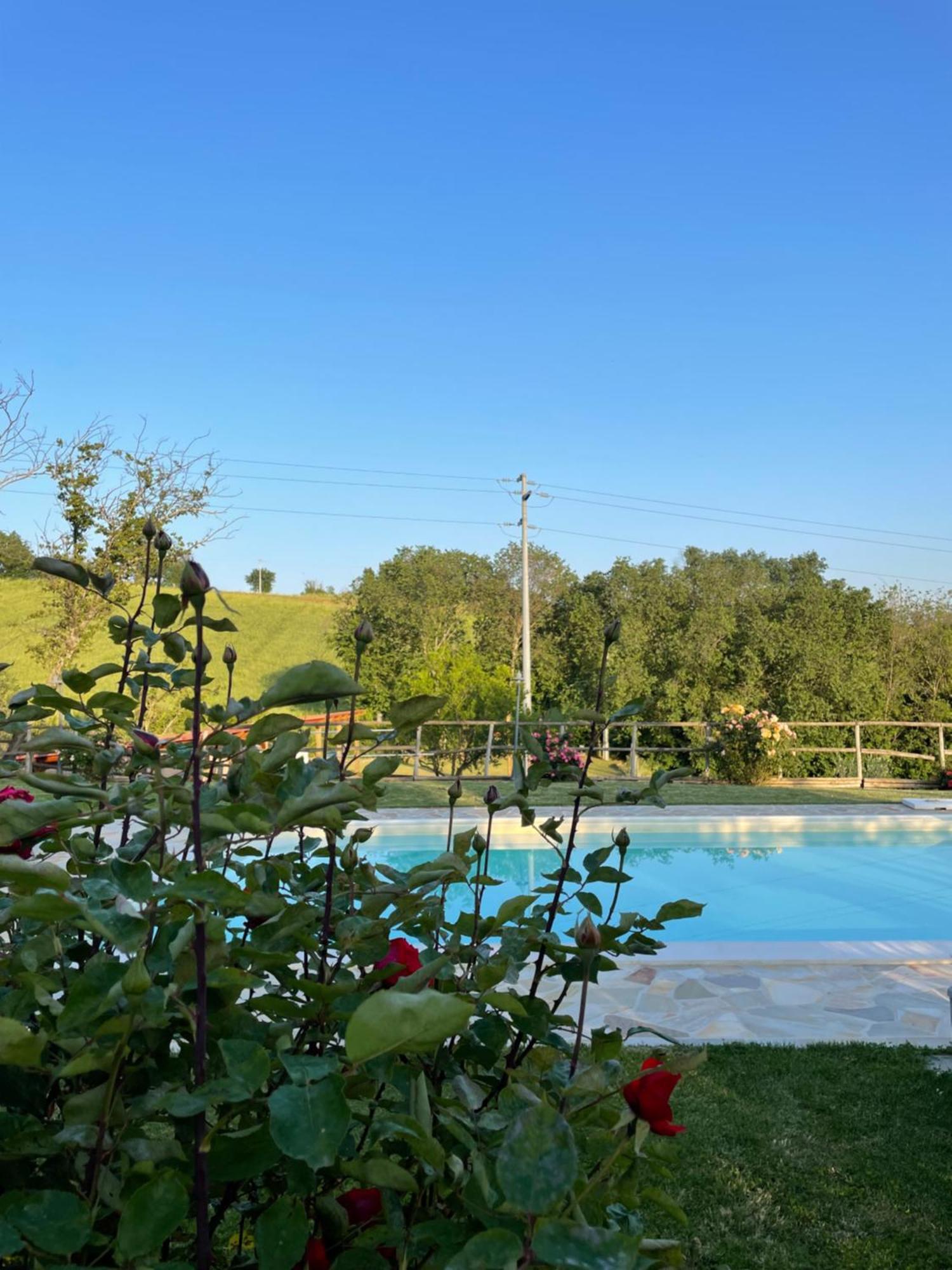 Montenovo Country House Ostra Vetere 외부 사진