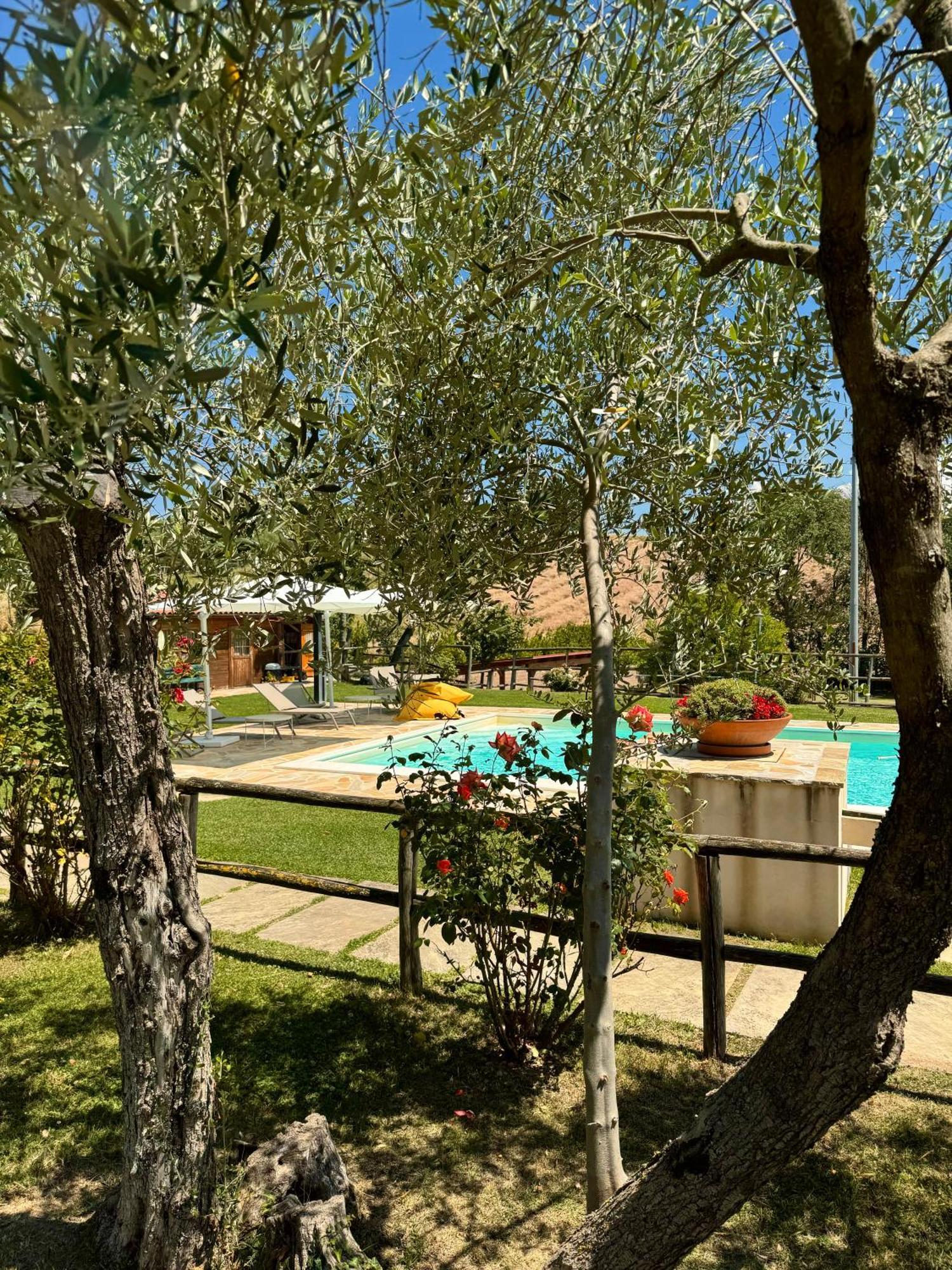 Montenovo Country House Ostra Vetere 외부 사진
