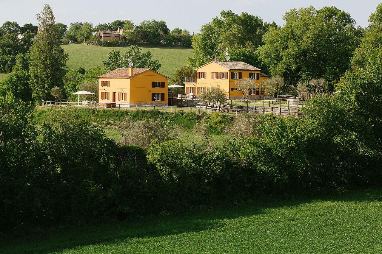 Montenovo Country House Ostra Vetere 외부 사진